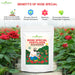 Rose-Special-Fertilizer-Benefits