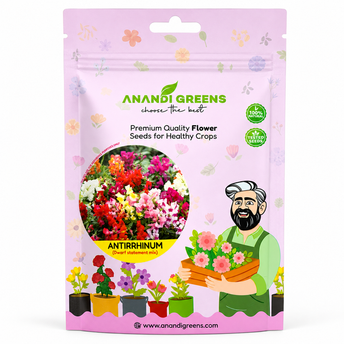 Antirrhinum – Dwarf Statement Mix F1