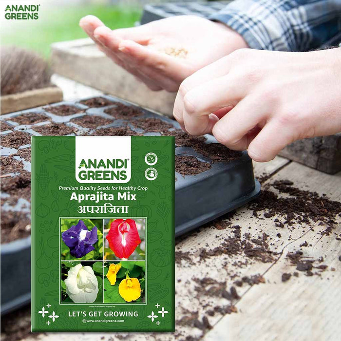 Aprajita Mix in Terrace Garden India — Cottage Garden