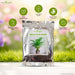 Areca Palm Seeds (Butterfly Palm)