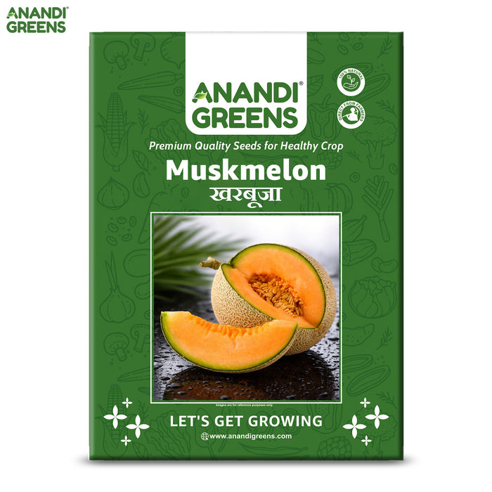 Muskmelon Seeds | खरबूजे के बीज