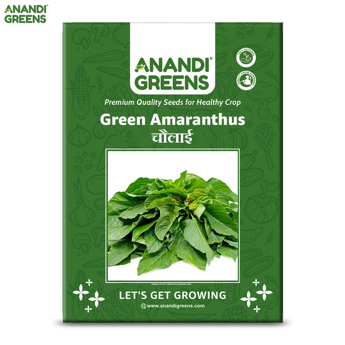Green Amaranthus Seeds Chaulai seeds Rajgira Seeds