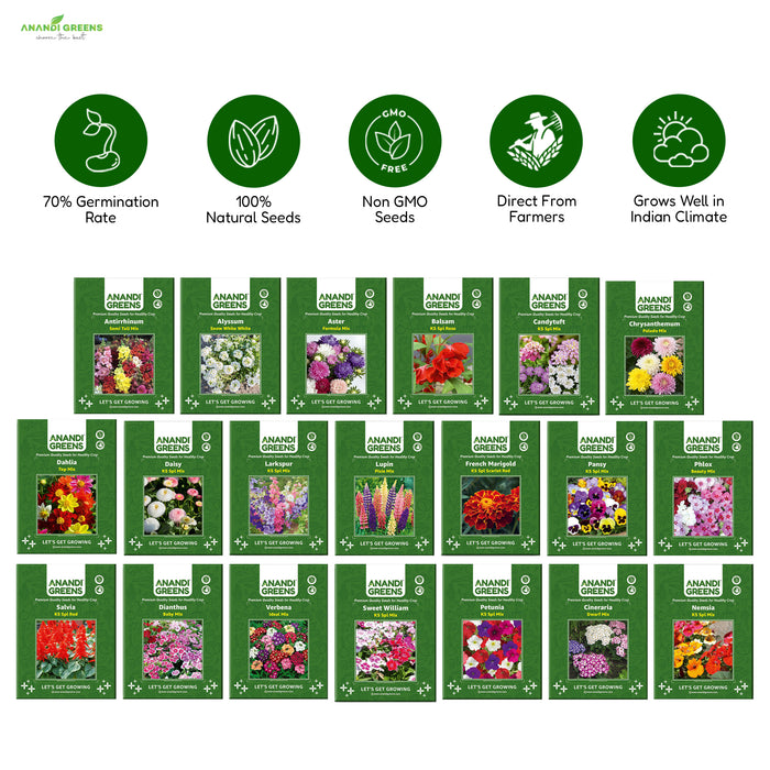 20 All Season Flower Combo Pack