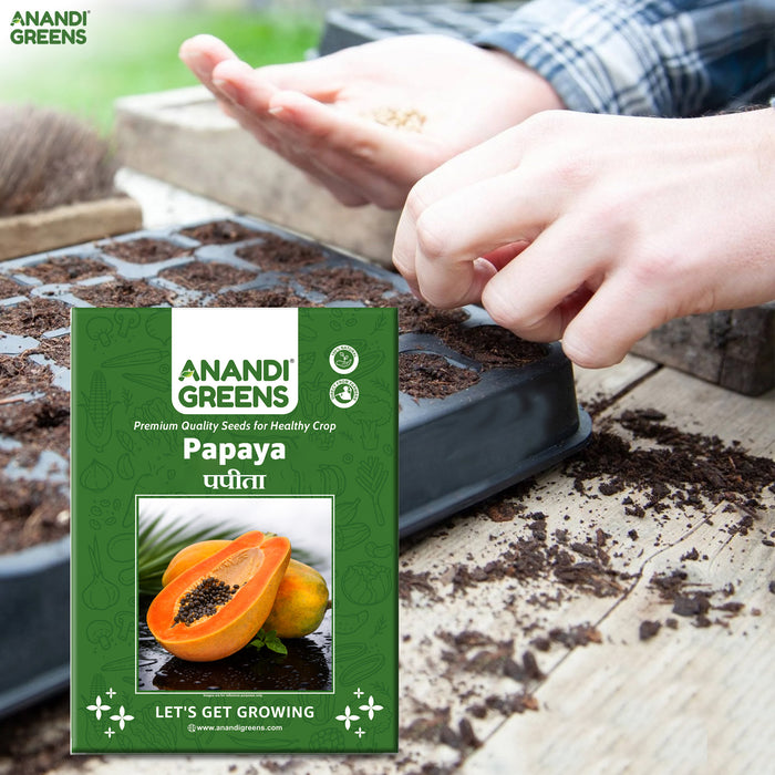 Papaya Seeds | पपीते के बीज