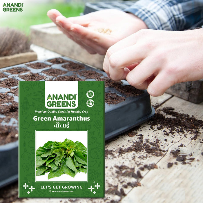Green Amaranthus (Chaulai) Seeds