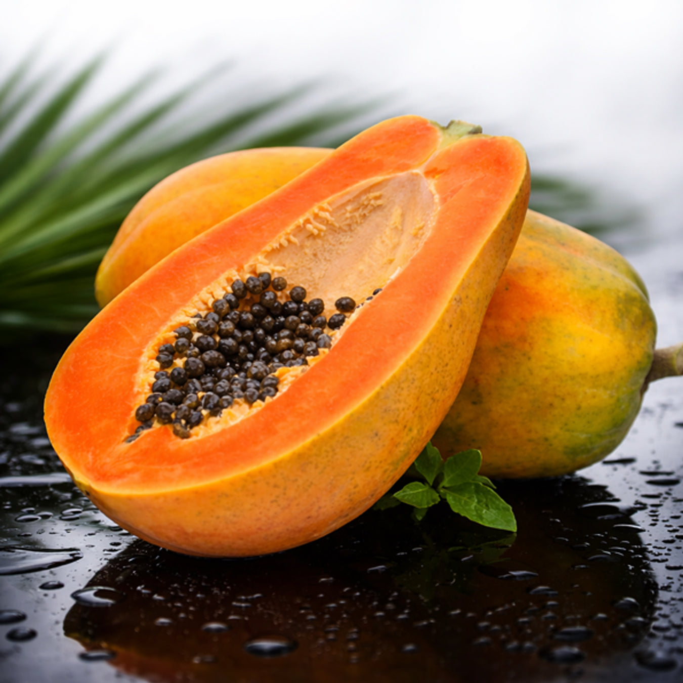 Fruit Plant