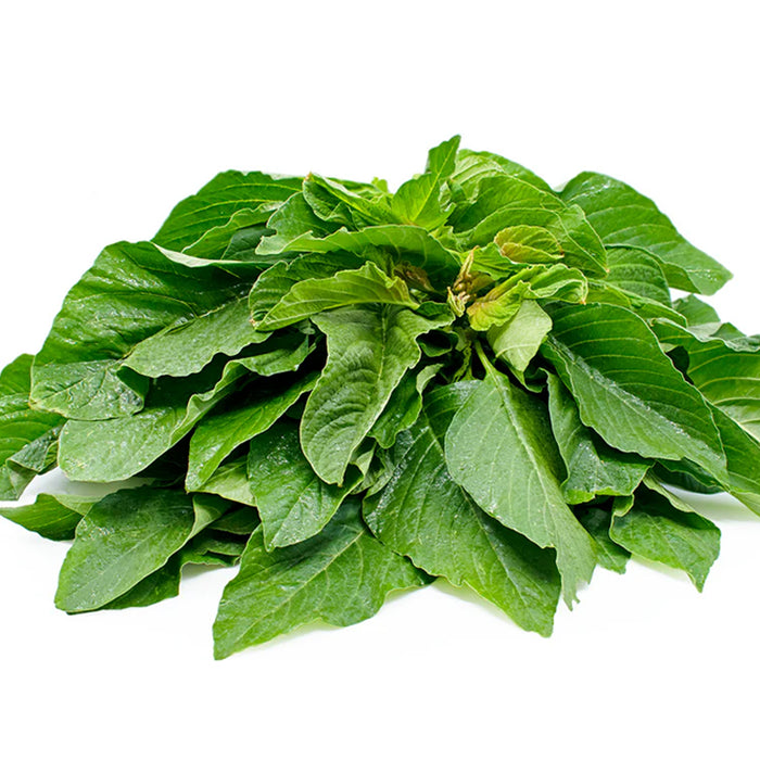Green Amaranthus ( हरा साग ) Seeds
