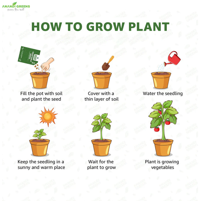 20 All Season Flower Combo Pack