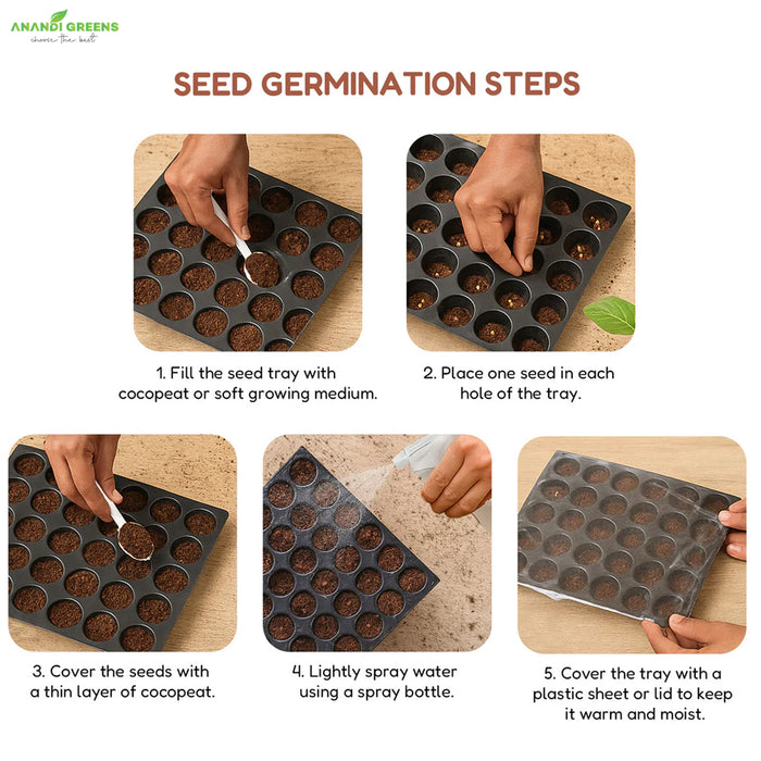 30 Varieties Flower Seeds Mega Combo Pack