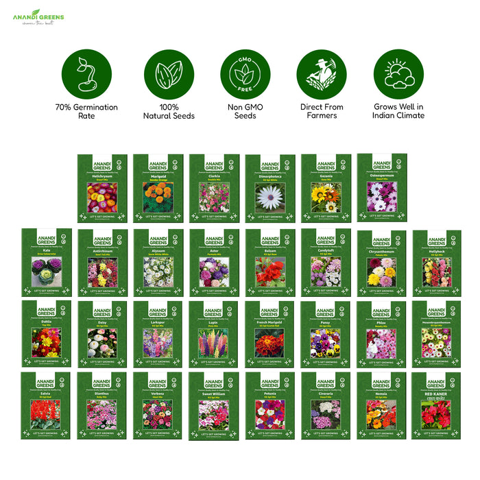 30 Varieties Flower Seeds Mega Combo Pack