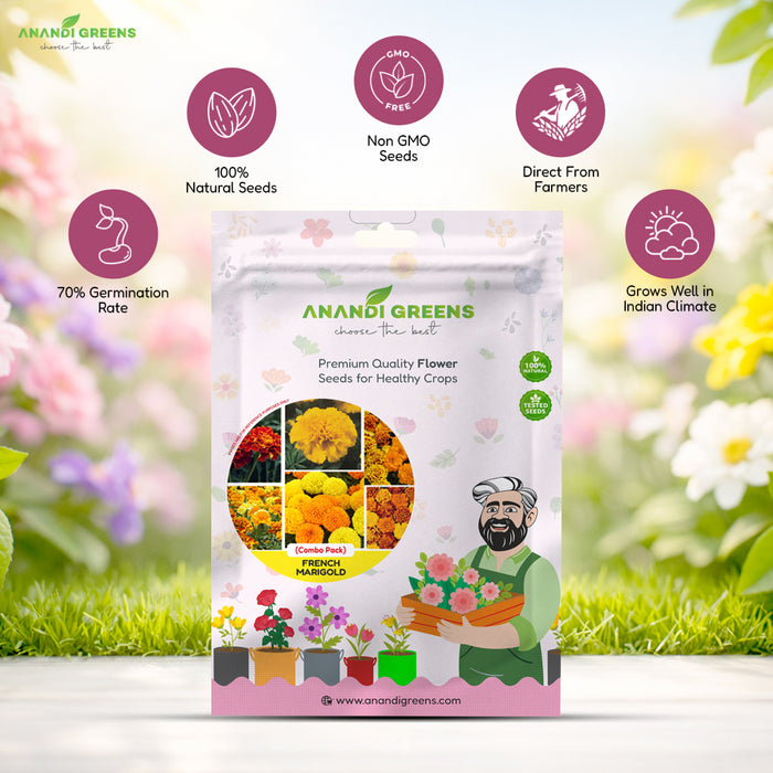 6-in-1 Marigold Seeds Combo Pack