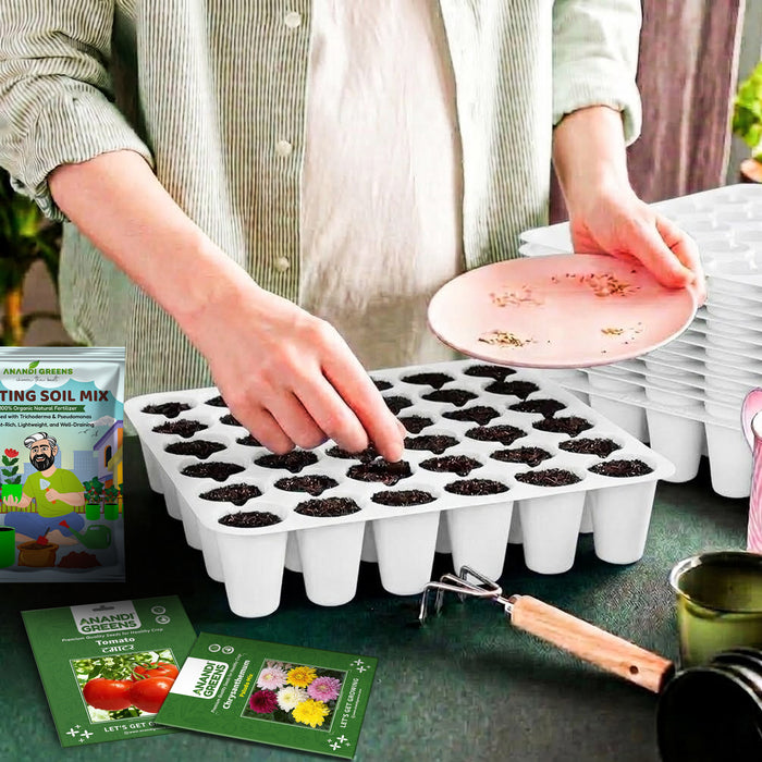 Premium Reusable Nursery Seedling Tray (Pack Of 2)