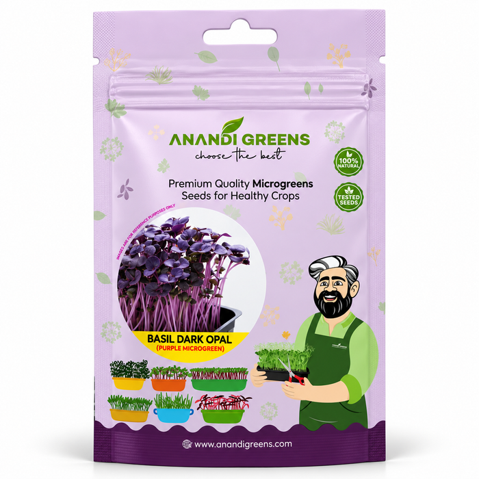 BASIL DARK OPAL (PURPLE) (MICROGREEN)
