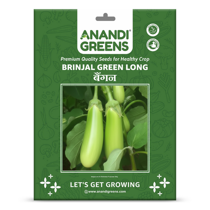 Brinjal Hybrid (बेंगन हरे लंबे ) Seeds F1 Hybrid