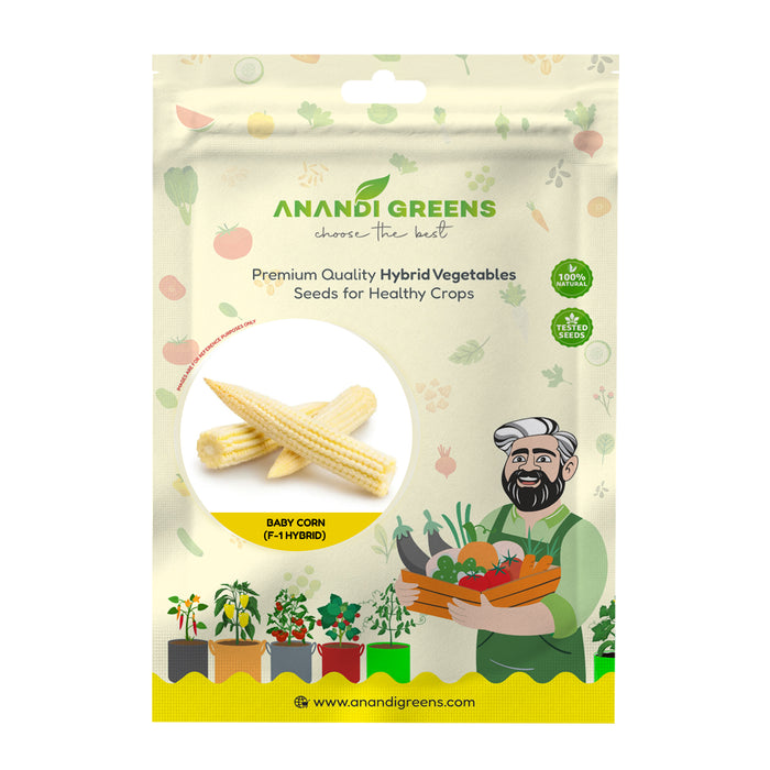 Baby Corn Hybrid Seeds