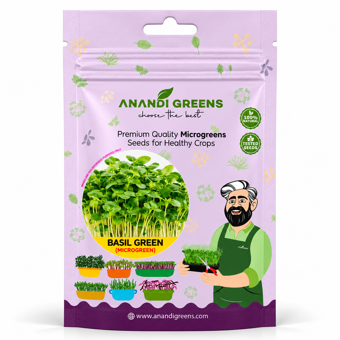 Basil Green Microgreen Seeds