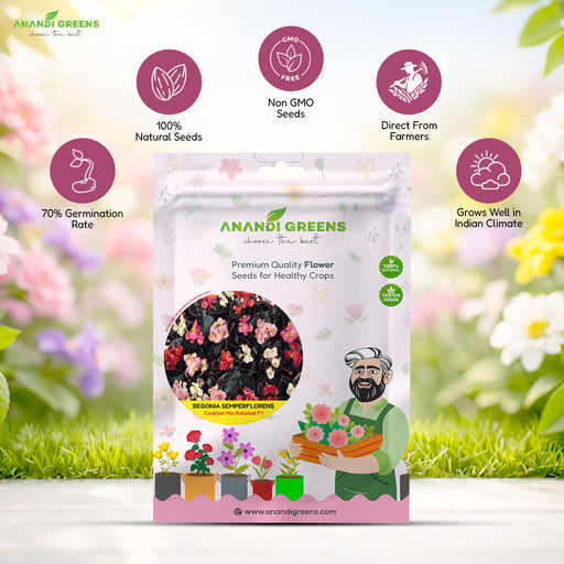 Begonia_Semperflorens_Cocktail_Mix_Pelleted_F1
