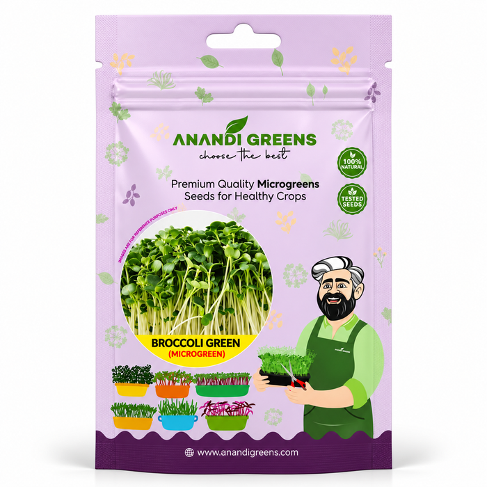 Broccoli Green Microgreens (ब्रोकोली माइक्रोग्रीन)