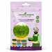 CARROT DESI LALIMA (MICROGREEN)