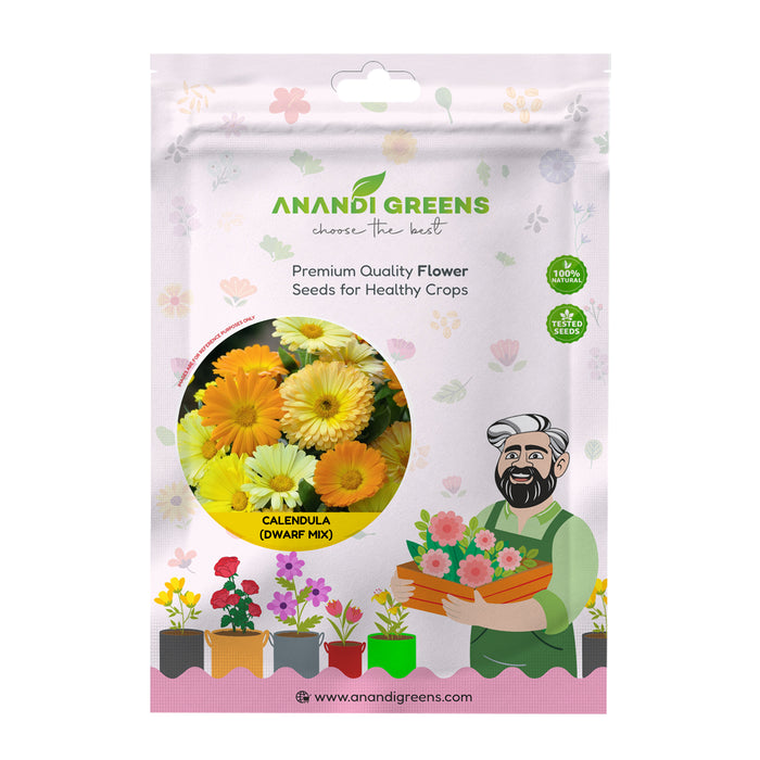 Calendula (Dwarf Mix) – Seeds