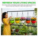 Chain Hanging Plastic Planter Pot for Balcony Pack Of 5