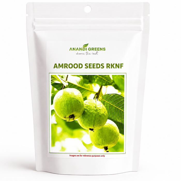 Guava (Amrood) Fruits Tree Seeds