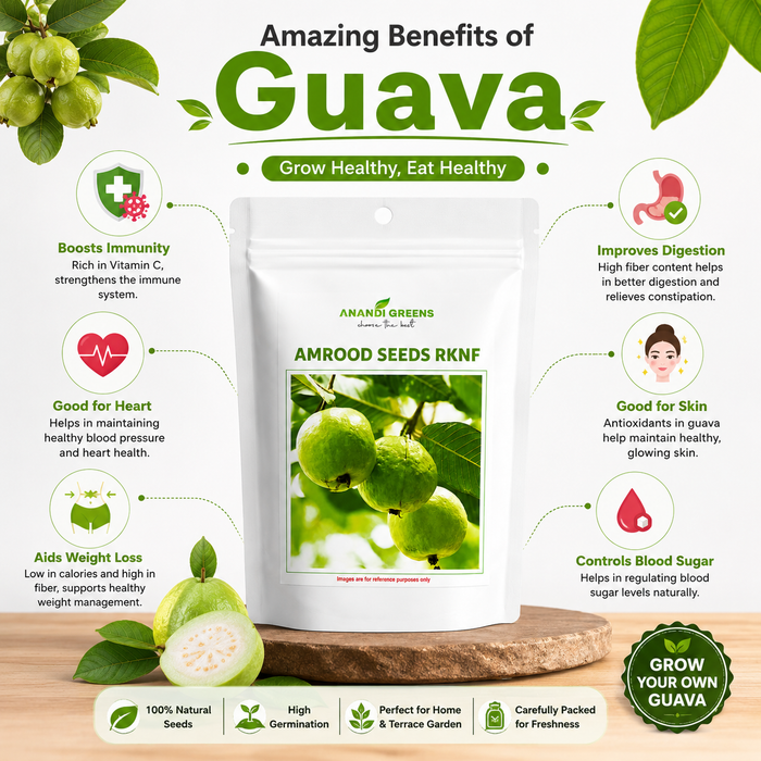 Guava (Amrood) Fruits Tree Seeds