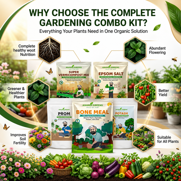 Plant Nutrient Supplement Combo