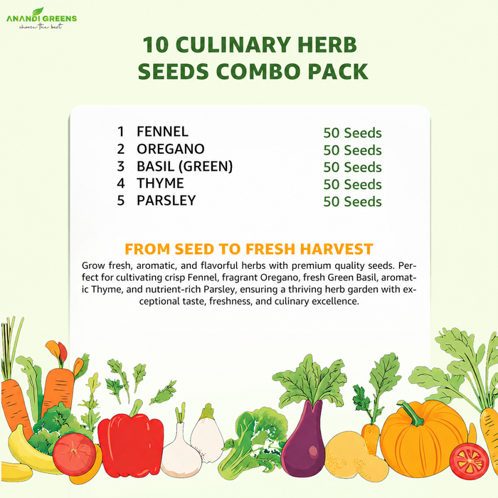 5 Culinary Herb Seeds Combo for Home Garden