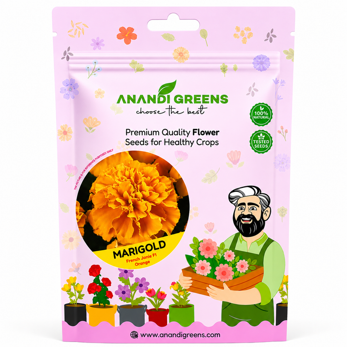 Marigold – French Jaine Series F1