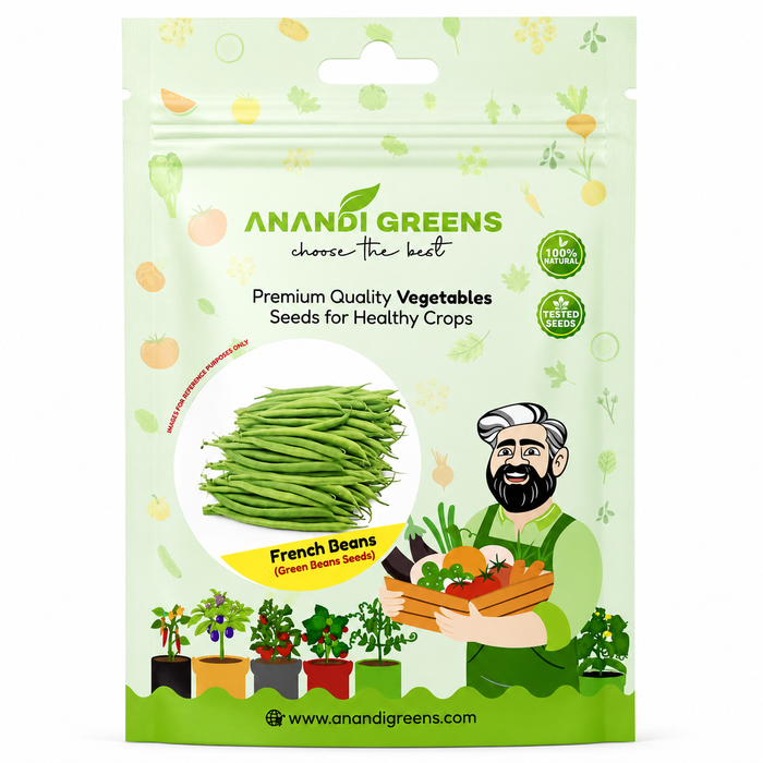 French Beans (Green Beans) Seeds
