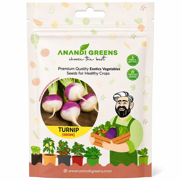 Turnip (शलजम) Seeds