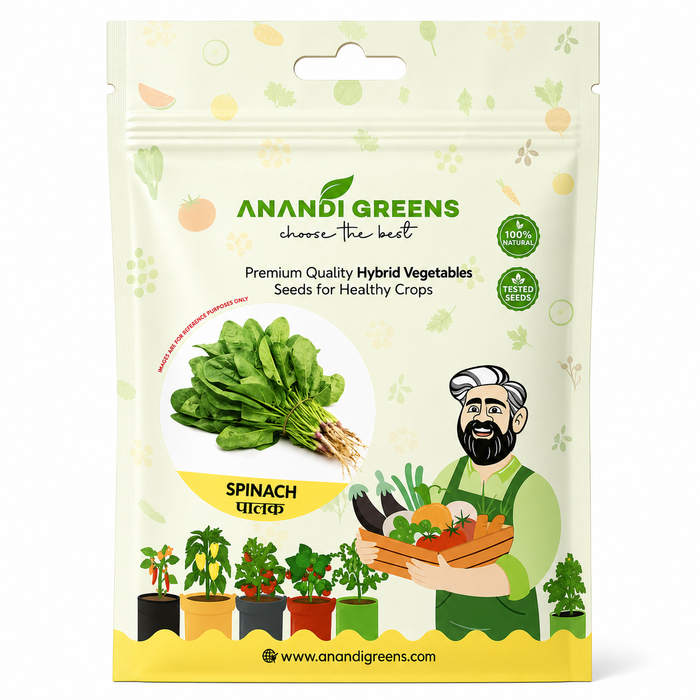 F1 Hybrid Spinach (पालक) Seeds