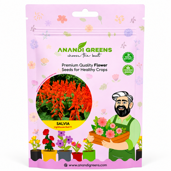Salvia – Lighthouse Red F1 Seeds