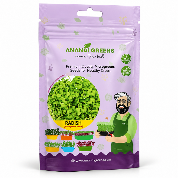 Radish (मूली माइक्रोग्रीन) Microgreens Seeds