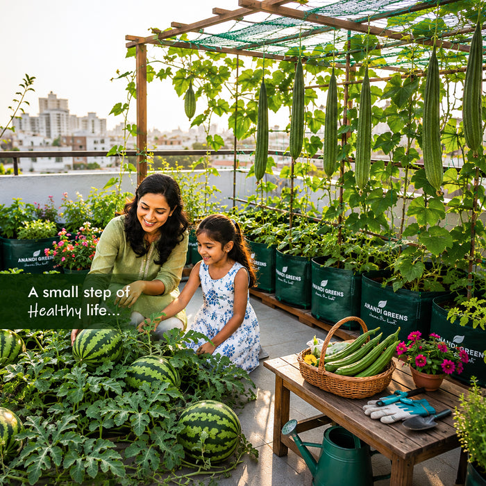 Climbing Vegetable Seeds Combo