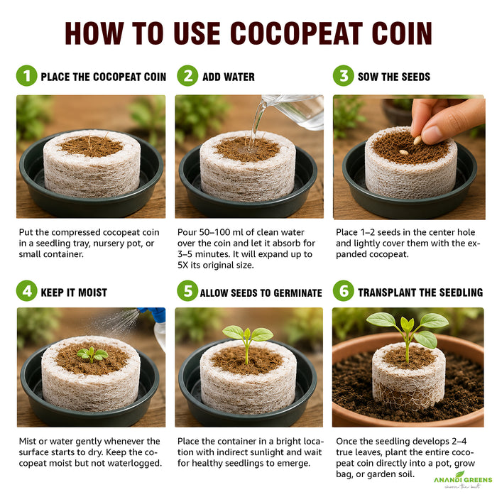 Coco Pellets | Coco Coin Coir | Seed Germination Kit | Peat Pellets for Gardening Seedling 42 mm / Pack of 25
