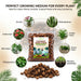 Coconut Husk Chips for Orchids Indoor Plants & Ideal for Soilless Potting Mix Natural Coconut Husk Chips for Better Growing Media