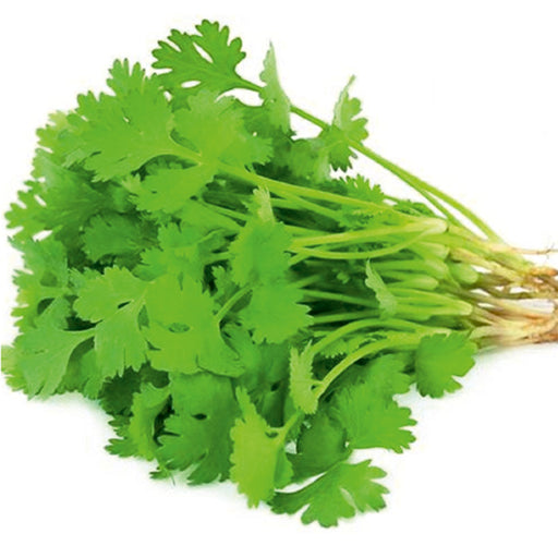 Coriander (धनिया) Seeds