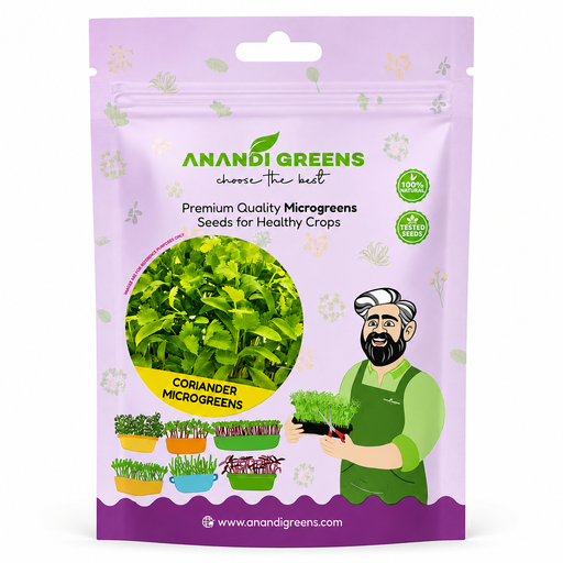 Coriander (धनिया) Microgreen Seeds