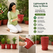 Decorative Terracotta Garden Planter Pots with Bottom Tray