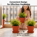 Decorative Terracotta Garden Planter Pots with Bottom Tray