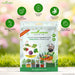 Exotic Vegetable Seeds Combo - Pack Of 5 