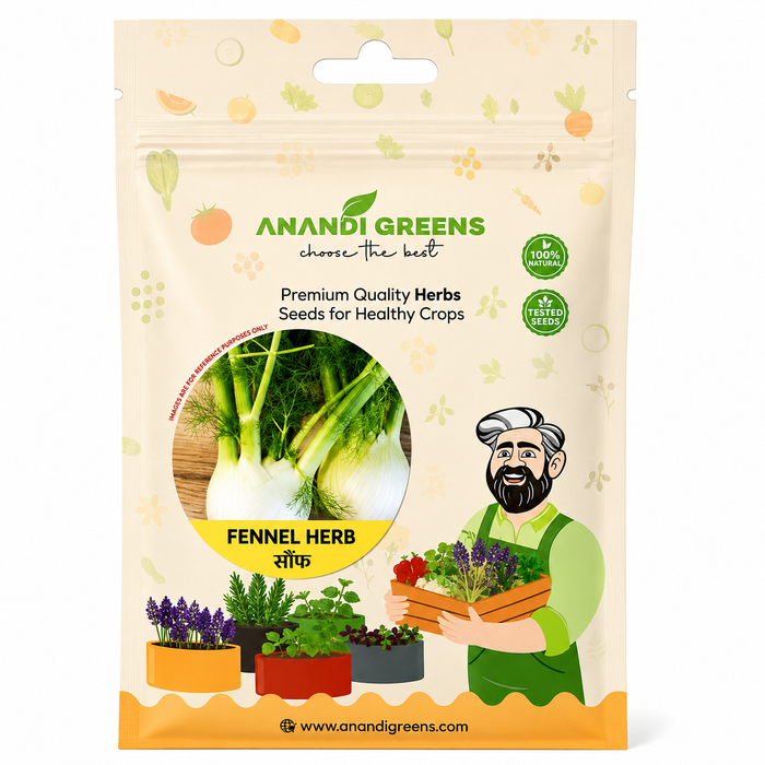 Fennel Herb Seeds (सौंफ)