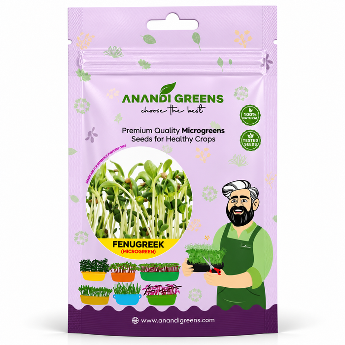 Fenugreek Microgreens