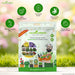 Flowering Tree Seeds Combo Pack Of 10