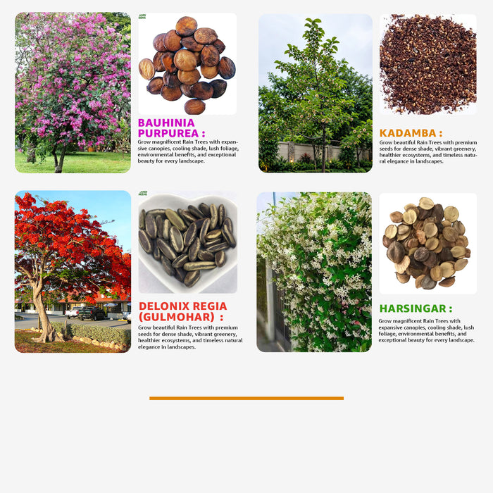 Flowering Tree seeds Combo