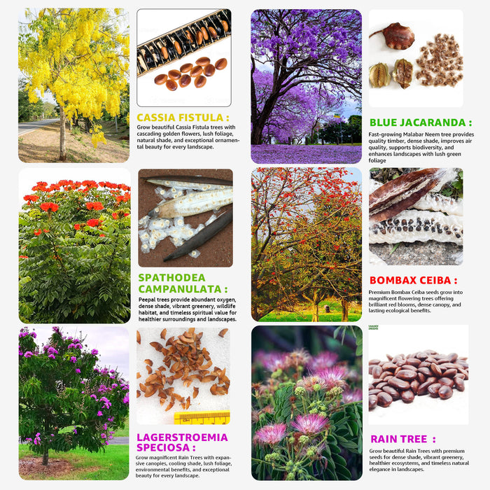 Flowering Tree seeds Combo