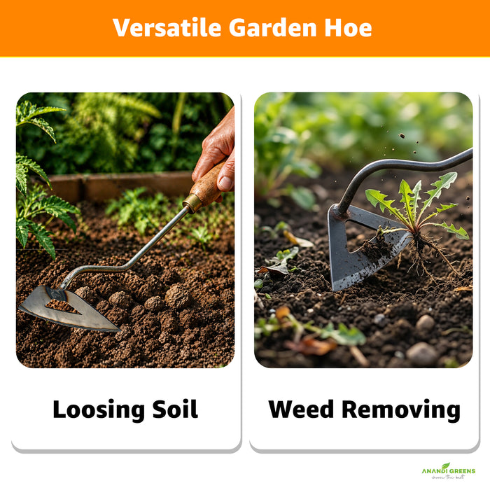 Hand Hoe for Loosing Soil & Weed Removing