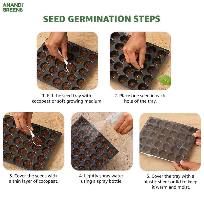 Step-by-step guide to seed germination in seedling tray with images of hands performing each step.